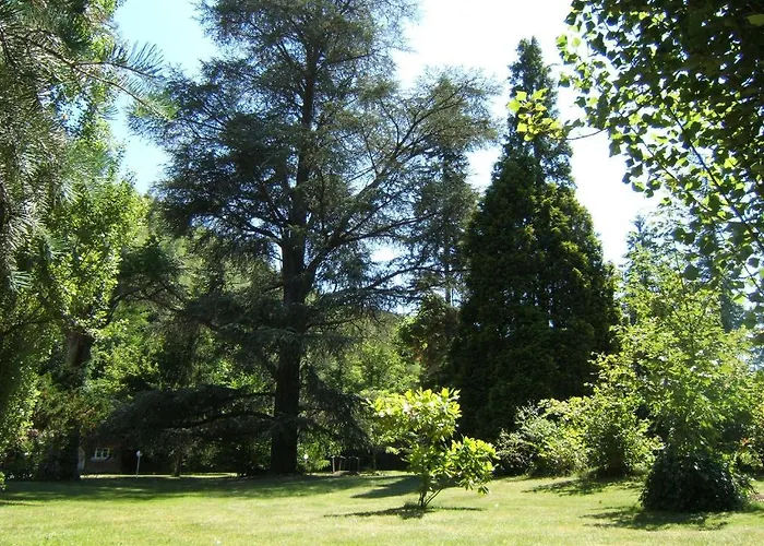 Chambres D'hotes Chateau De Bed & Breakfast *