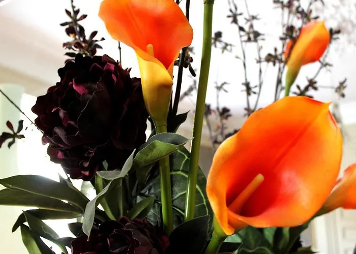 Chambres D'hotes Chateau De Viviez