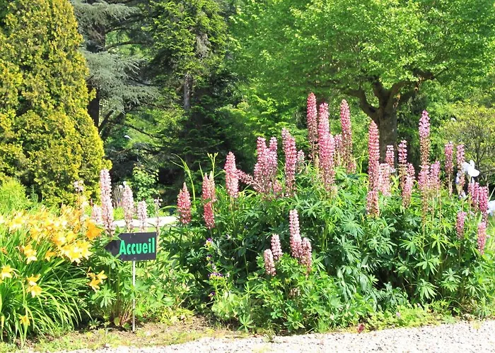 Bed & Breakfast Chambres D'hotes Chateau De *