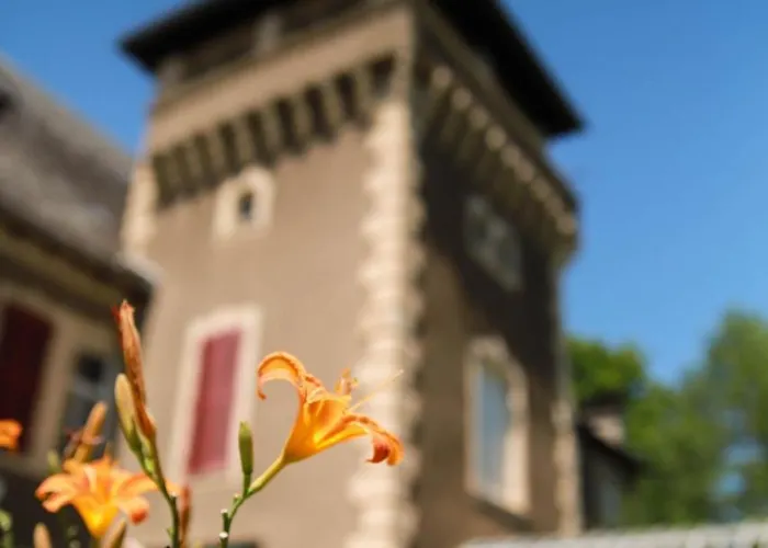 Chambres D'hotes Chateau De *