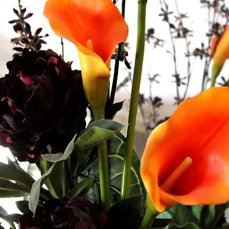 Chambres D'hotes Chateau De Viviez