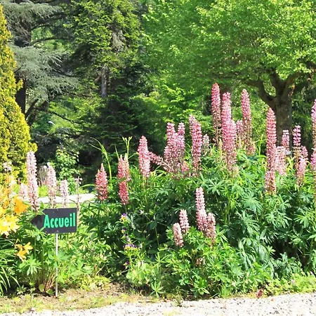 Bed & Breakfast Chambres D'hotes Chateau De *